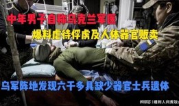 荷兰军医爆料视频大全集,揭秘战争背后的真相与挑战